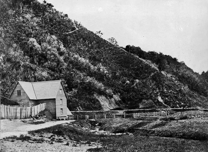 Scene at Korokoro, with Percy's Britannia Flour Mill