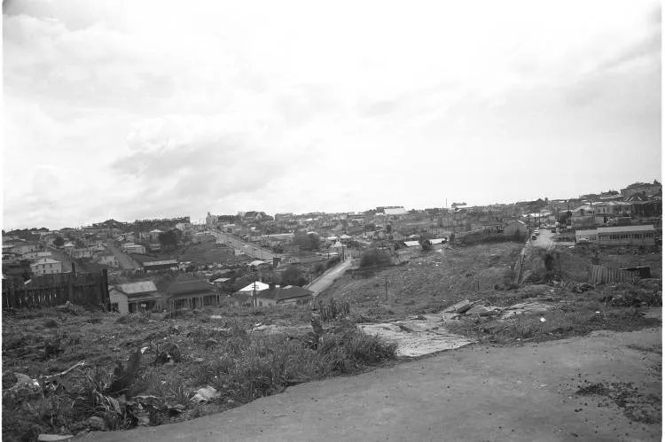Newton Gully from Dominion Road, 1963
