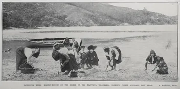 Image: Gathering Pipis