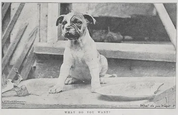 Image: His Christmas Dinner. What do you want?