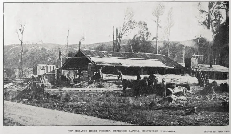 NEW ZEALAND'S TIMBER INDUSTRY: SILVERHOPE SAWMILL, HUNTERVILLE, WELLINGTON