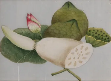 Image: Sliced vegetable with pink tipped flower