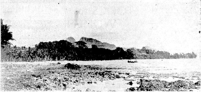 A view of the coast of Guadalcanar, one of the principal islands of the Solomons, which United Stales marines recently seized from the Japanese. (Evening Post, 16 September 1942)