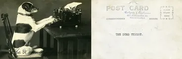 Image: Postcard titled 'the dumb typist'