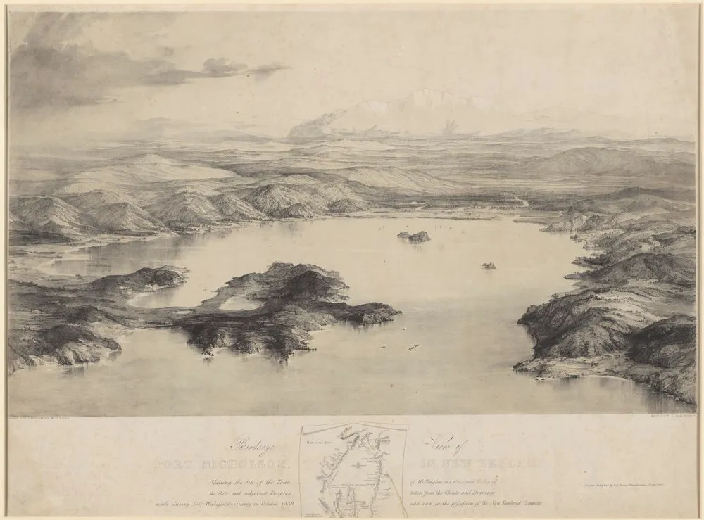 Birdseye view of Port Nicholson in New Zealand