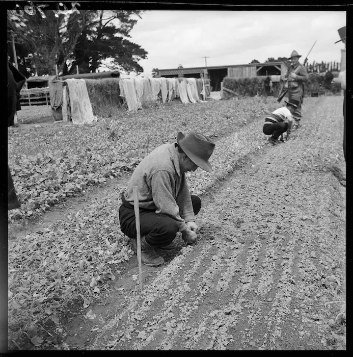Japanese prisoners of war working at the state market gardens, near Featherston
