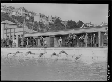 Image: Swimming race
