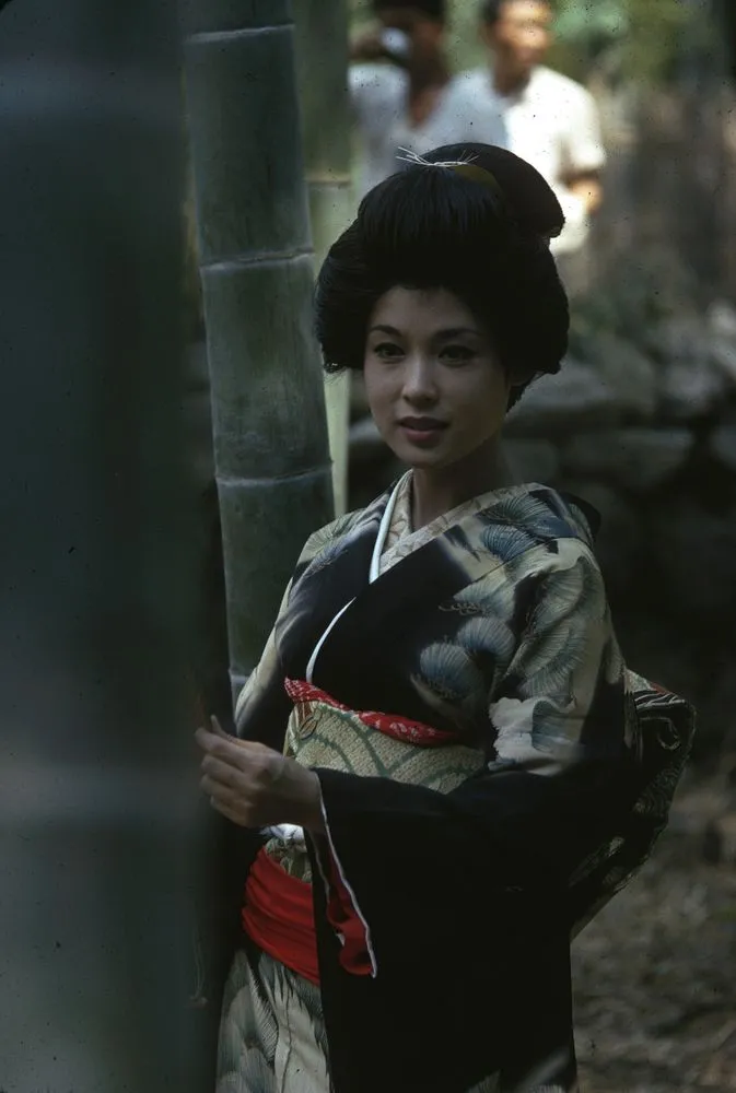 Japan Series: Movie Industries