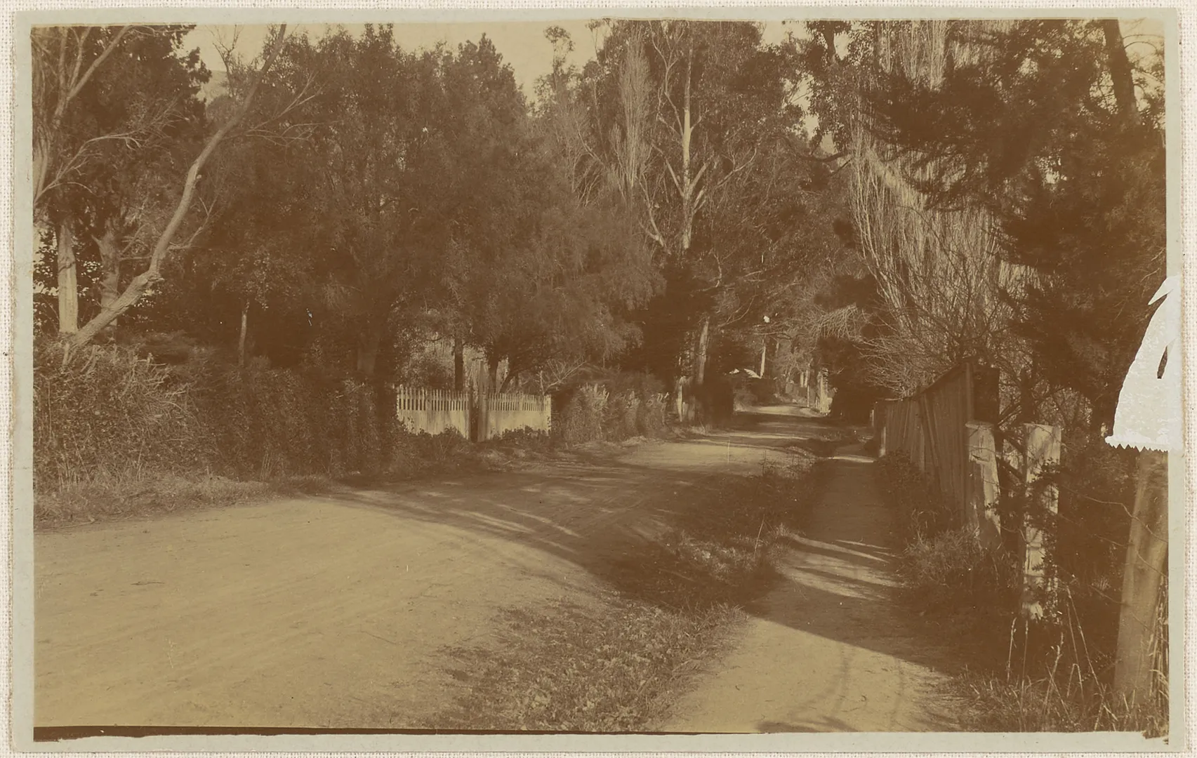 Front gate to "Hillwood" orchard on Bridle Path Road.