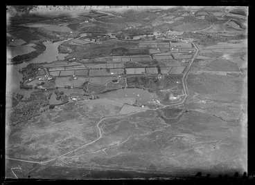Image: Agricultural area, Kerikeri, Northland