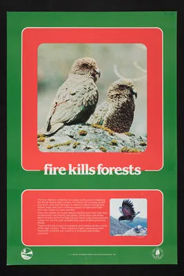 Fire kills forests