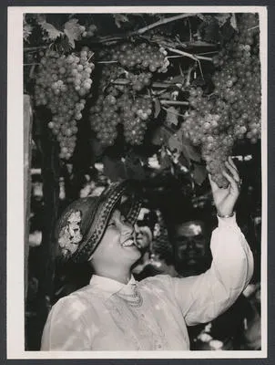 Mrs S. H. Chan with grapes