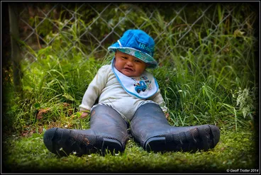 Image: Day on the Farm...