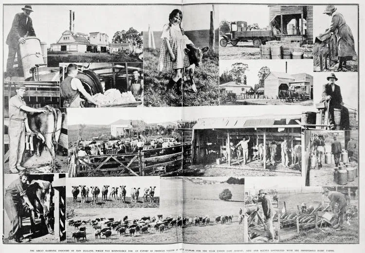 The great dairying industry of New Zealand