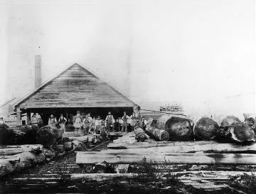 Booth's sawmill, Carterton: Planing mills and timber yards