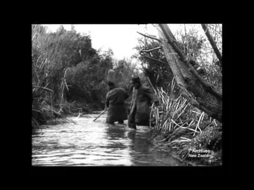 Image: Trout in New Zealand (1945)