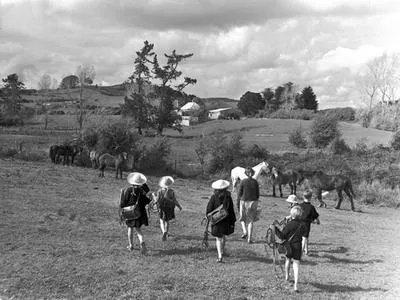 Ararimu, ponies and school children arriving