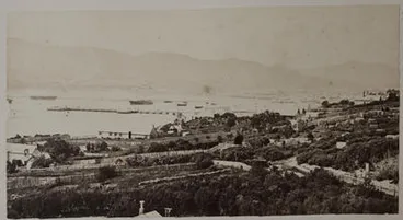 Image: Wellington New Zealand