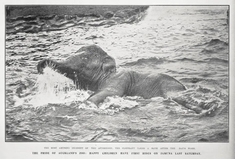 The Pride of Auckland's Zoo; Happy Children Have First Rides On Jamuna Last Saturday