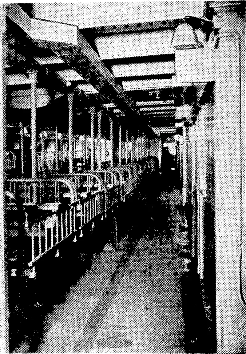 Right, the new Japanese Minister to Australia, Mr. Kawai, photographed with Lord Gowrie,. Governor-General of the Commonwealth, after presentation of his credentials. ; (Evening Post, 19 April 1941)