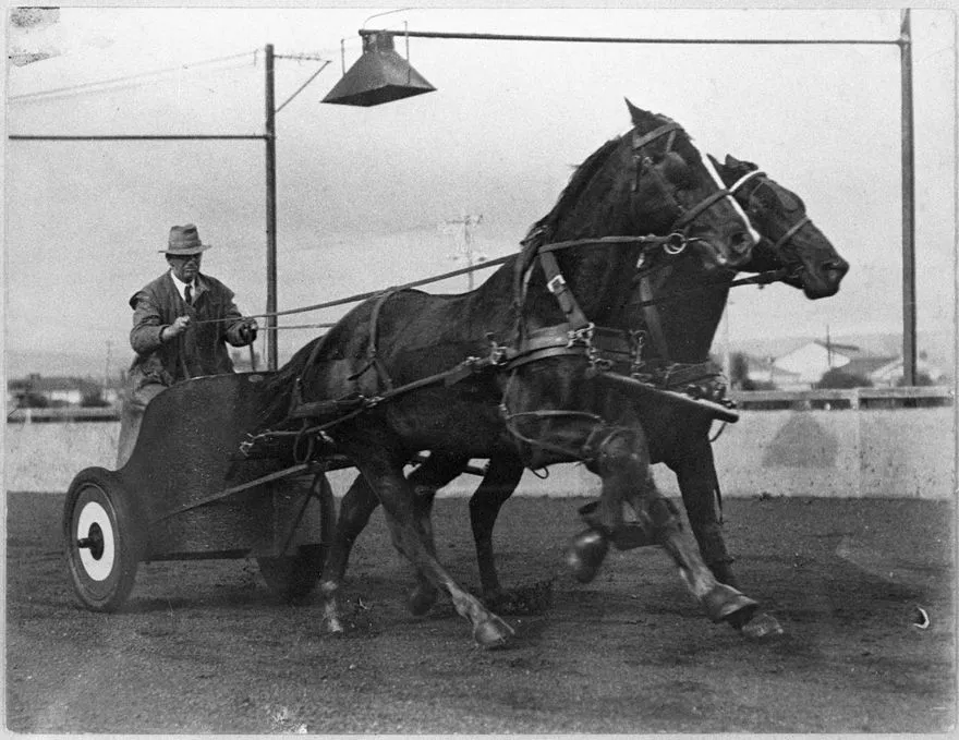 Chariot Racing at the A&P Showgrounds