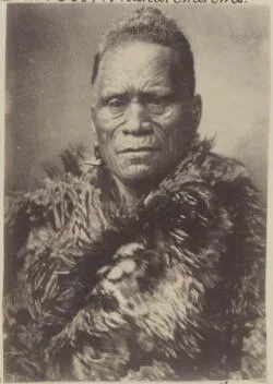 Tawhiao, Maori King