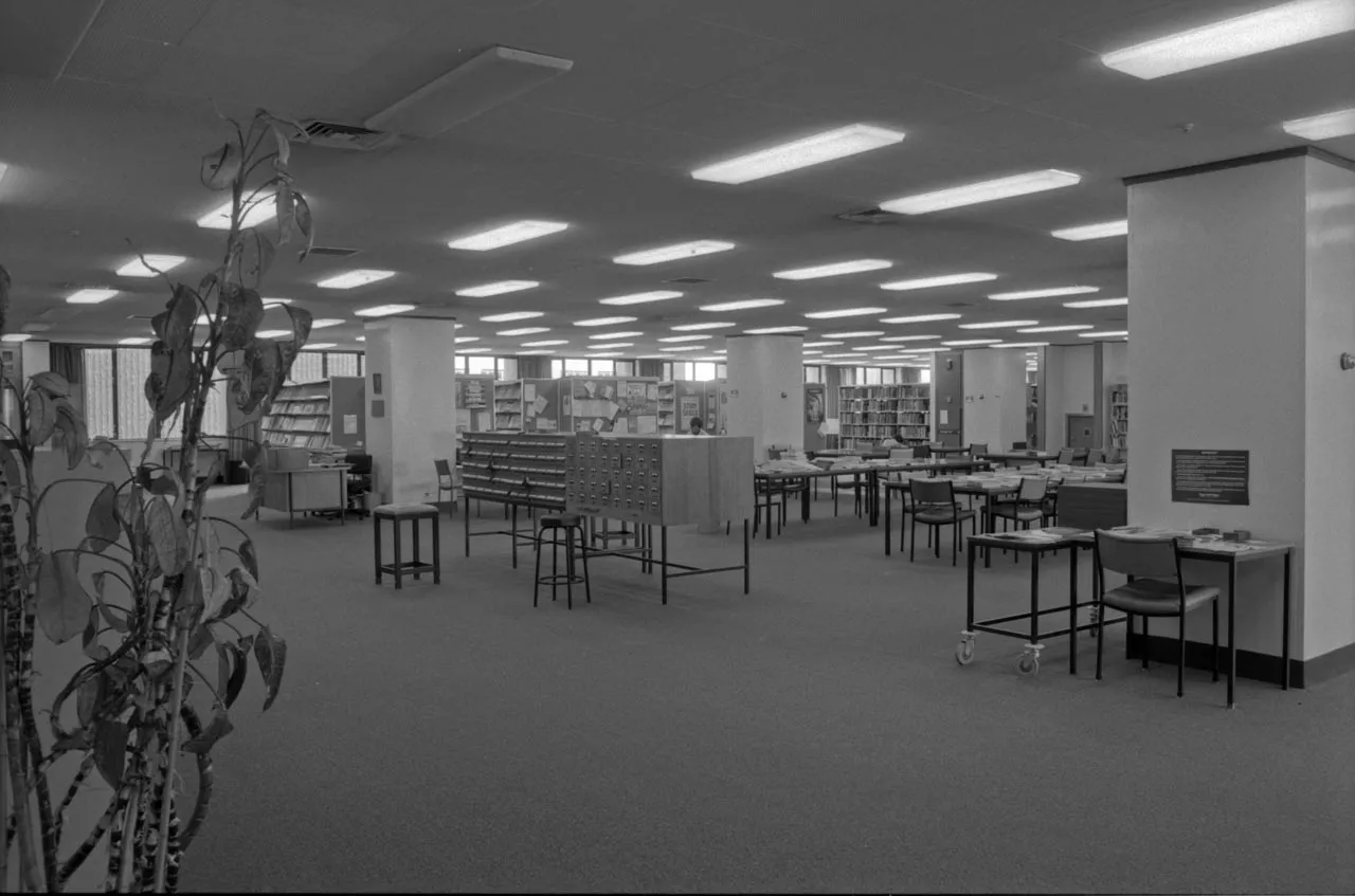 Interior shots of the Architecture, General, and Philson libraries