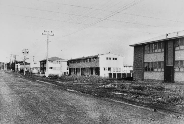 State housing, Ōtara, 1960