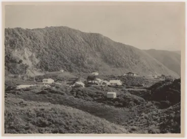 Image: [Paekakariki houses].