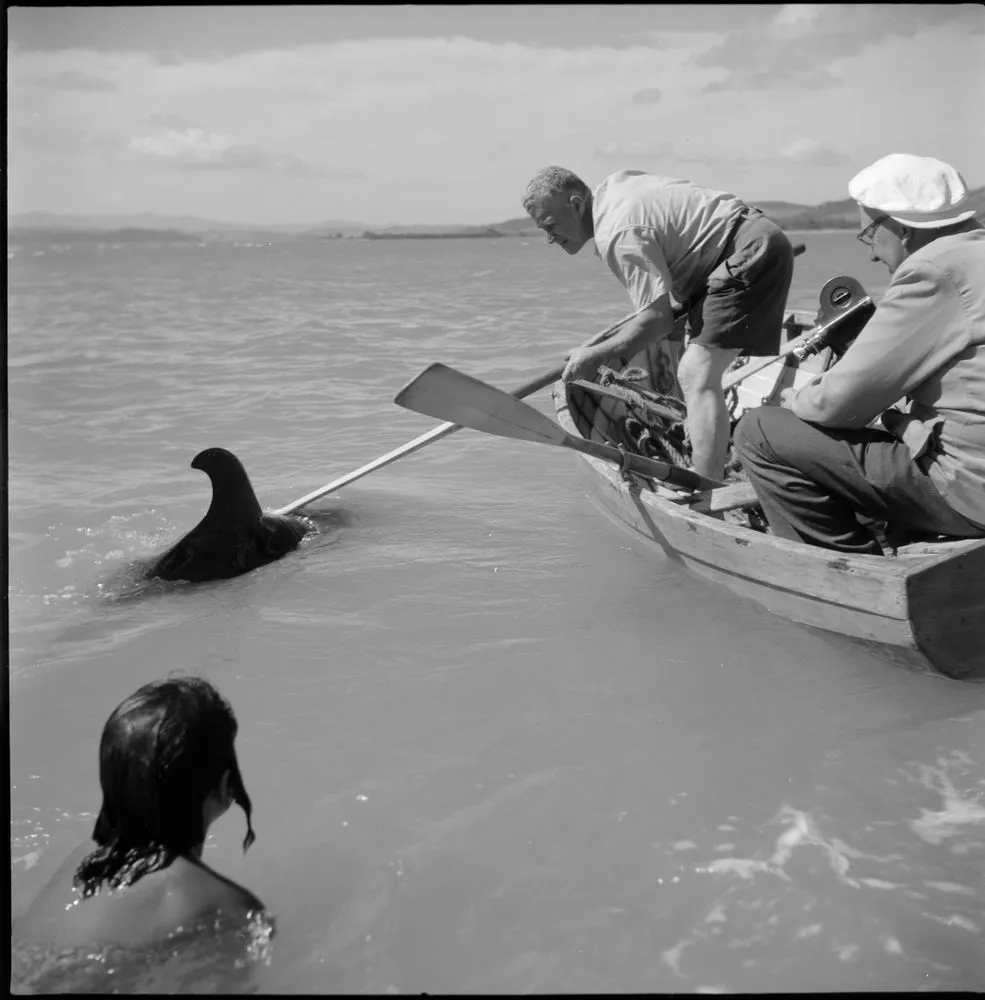 Opo the dolphin, Opononi