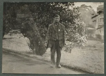 Image: Pinohi Tutakangahau