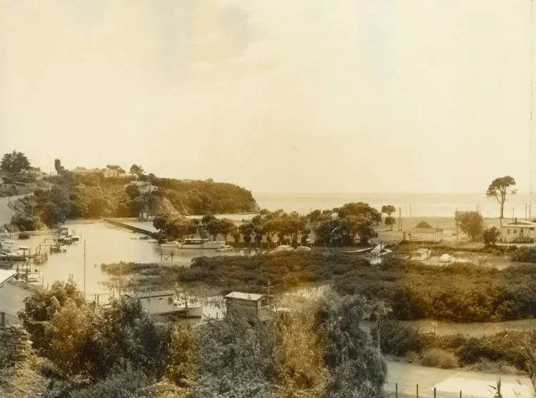 Wairau Estuary and Milford Beach Reserve