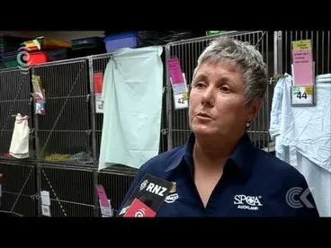Image: SPCA calls for ban on selling non desexed cats