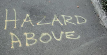 Image: Photograph by Jocelyn Kinghorn 362