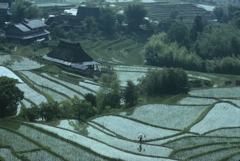 Japan Series: Landscape