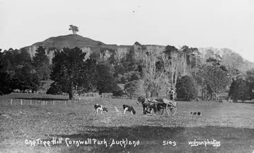 Image: One Tree Hill.