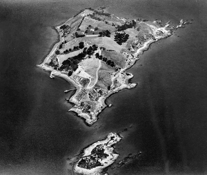 Aerial view of Somes Island