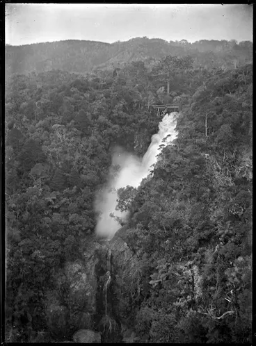 Image: The Glen Esk Dam being tripped amongst native bush near Piha