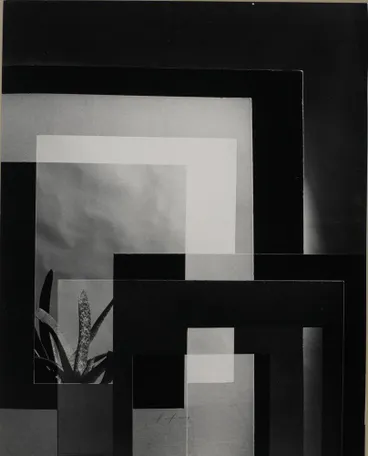 Image: Reversal design