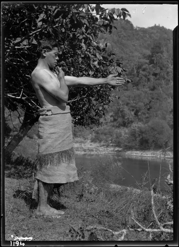 Image: Maori method of measurement (7th)