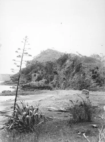 Image: Rangihoua Pā, Northland