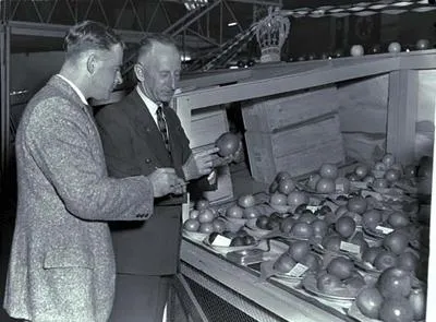 Waikato Winter Show.