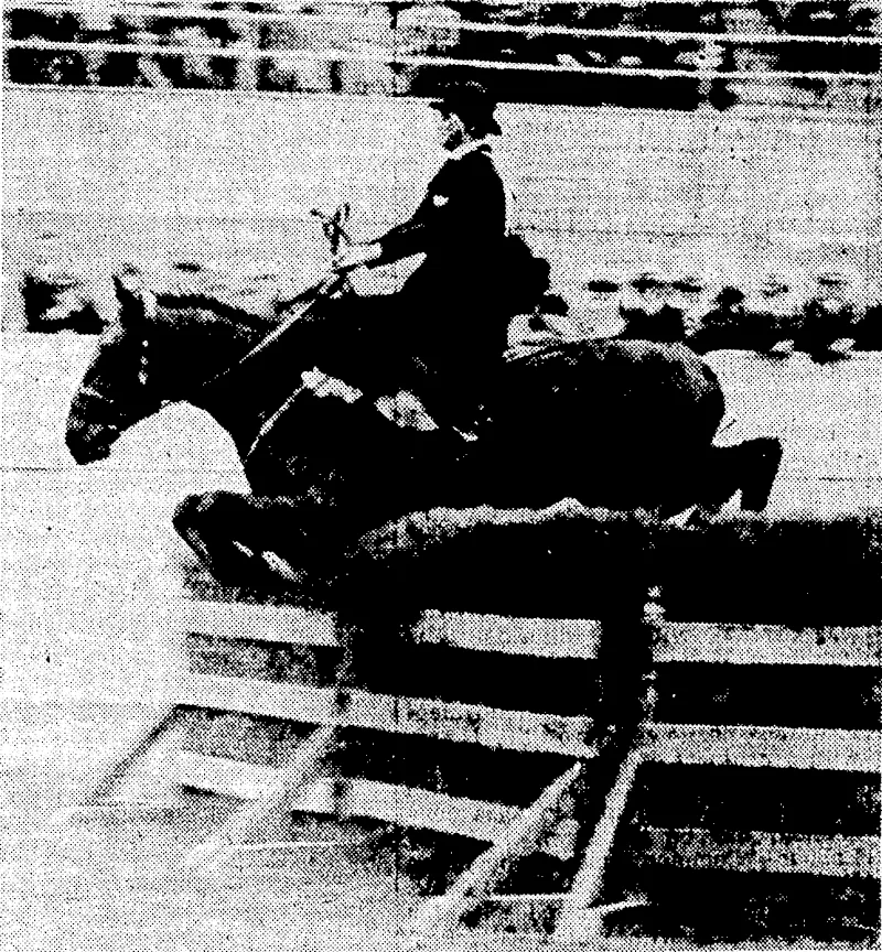 Evening Post" Plioto. SIDE-SADDLE AT TtlE SHOW.—Mrs. S. E. Pearson, of FeUding, riding Padmore in the hunters' competition. She was the only competitor to use the old-fashioned side-saddle in the ladies' horse events at the faster Show yesterday. (Evening Post, 23 April 1935)