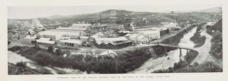 Panoramic view of the Waikino battery, part of the plant of the famous Waihi mine