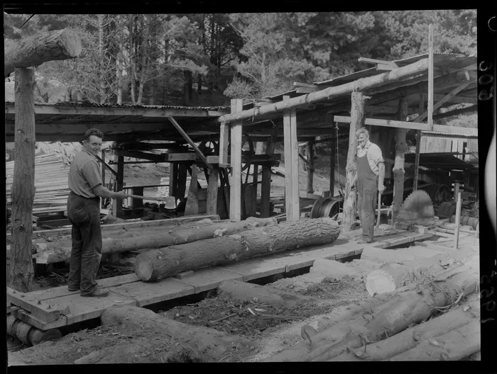 A sawmill at Berhampore, Wellington
