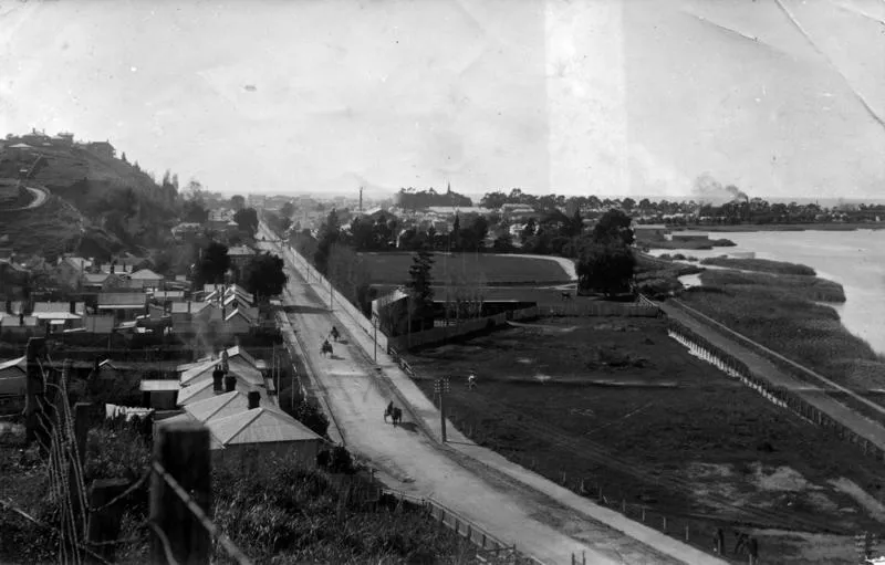 Carlyle Street, Napier
