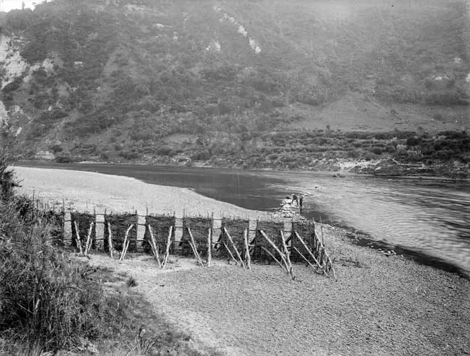 Eel weir, Whanganui River
