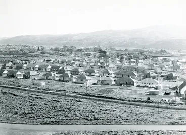 Image: State housing in Lower Hutt