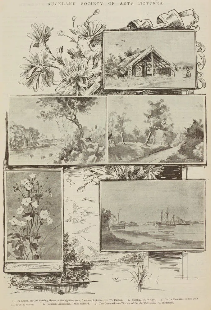 Auckland Society of Arts pictures