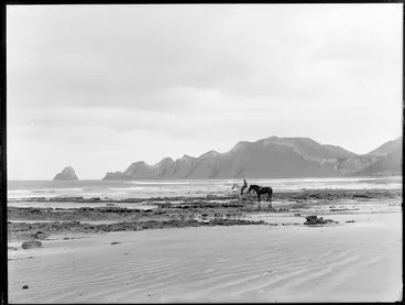 Image: Cape Kidnappers